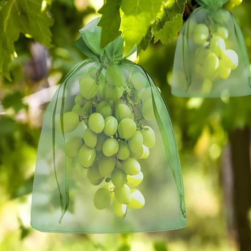 20/50 Pezzi Sacchetti Riutilizzabili a Coulisse Anti Insetti per Frutta Sacchetti a Rete per Protezione Piante Coperture Barriera Anti Parassiti Forniture per Alberi da Frutto e Giardino