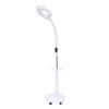 LED Beauty Salon Magnifying Lamp with Cold Light and Dimming Feature for Nail Art, Eyebrow Tattoo, and Shadowless Lighting.
