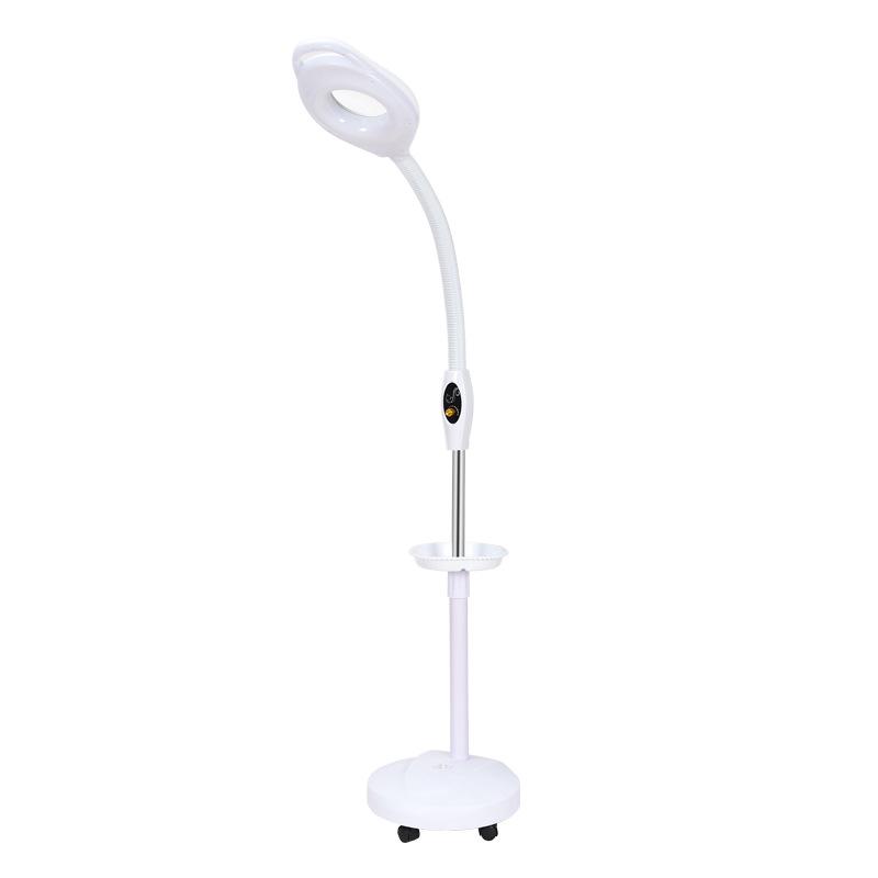 LED Beauty Salon Magnifying Lamp with Cold Light and Dimming Feature for Nail Art, Eyebrow Tattoo, and Shadowless Lighting.