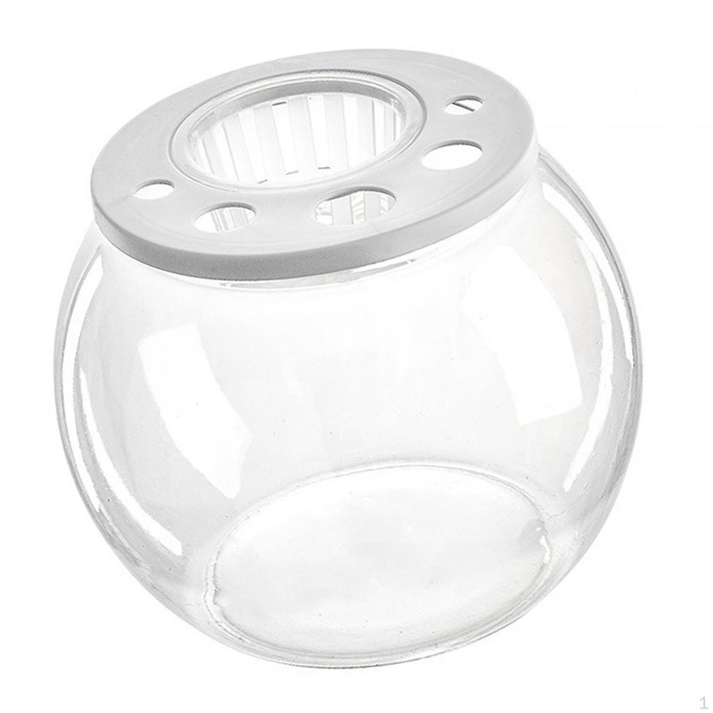 Bowl Tank Creative Transparent Table Ornament Trendy DIY Micro Landscape Aquarium for Office