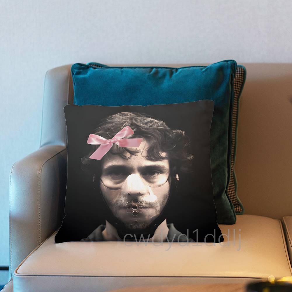 W-Will Graham H-Hannibals Pillowcases Cute Funny Pillow Case For Wedding Party Home Decor Comfy Pillow Cover