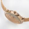 Women'S Simple Temperament Niche Quartz Watch Ultra-Thin Mesh Strap Watch Fashion
