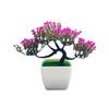 Simulated Pinus Potted Hwangshanensis Artificial Flower For Indoor Decor