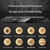 SANSUI M13 Professional Home Karaoke System CN Plug (adapter Included)