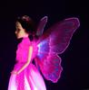 Battery Operated Princess Doll in Pink Dress Dancing Light Sound Wings