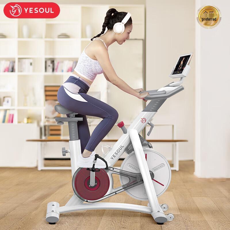 YESOUL S1 Smart Magnetic Spinning Bike S1