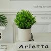 European Fresh Simulation Green Plant Potted Ornament for Home Decor