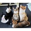 Creative Simulation 3D Cat Throw Pillow Plush Toy Cat Animal Doll Girl Bed Sleeping Cushion