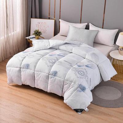 FIRS Warm Down Alternative Quilt