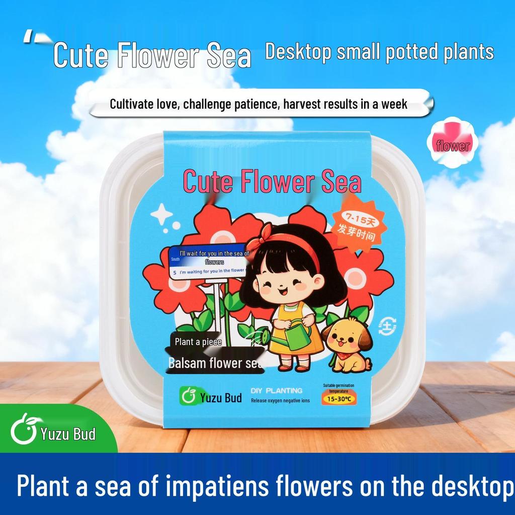 Creative DIY Flower Seeds Kit: Planting Pot for Students' Birthdays and Desktop Decor