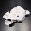 Aquarium Decoration Cave Fish Tank Accessories for Shrimp Cichlid Hiding Breeding Small Fish