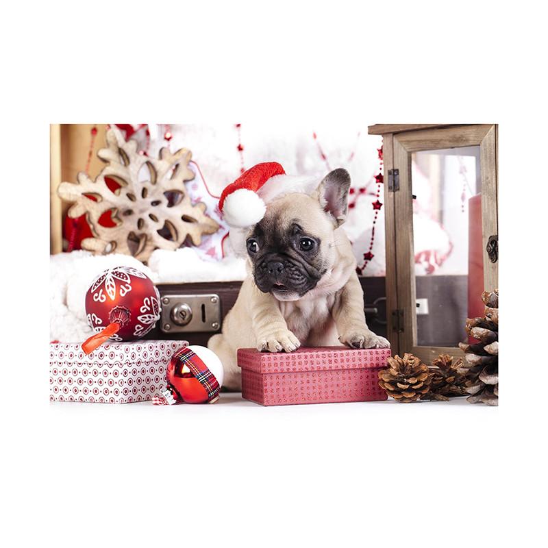 Pet Themed Christmas Photography Backdrop,Party Banner,Wall Decor,for Parties Backdrops,Holiday Decor,Photo Studio