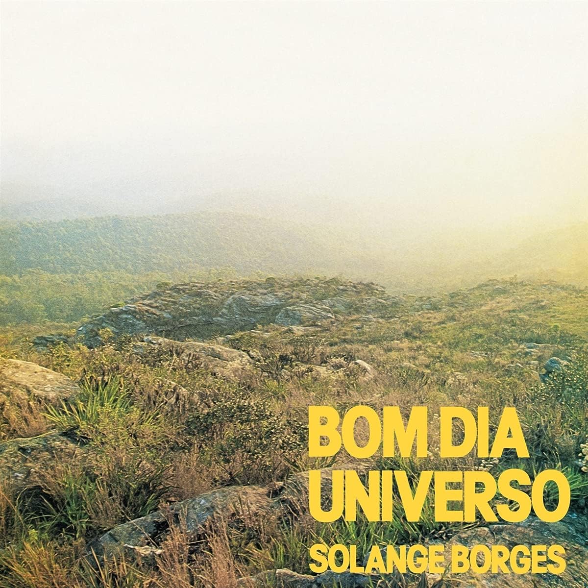 

LP Record SOLANGE BORGES - Bom Dia Universo FD017 2021 Europe Latin