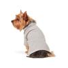 Ralph Lauren Cotton Mesh Dog Polo Shirt  Hmpopap56320002020 