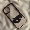 Cartoon Black Cat Phone Case for IPhone 16 13 15 Cover for 12 11 14 Pro Max 13 12Mini 14 15 Plus Hard PC Shells Fundas