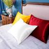 Satin Pillowcase for Hair and Skin Care Standard Queen Washable Pillow Covers Set of 2 with Envelope Closure Gifts for Women Men