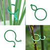 50Pcs -Stem Vine Strapping Clips Garden Plant Bundled Buckle Ring Tool