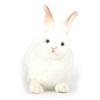 Hansa Toy No. 4671 Rabbit Plush Toy, 20cm, Mixed Colors, Popular Toys for Korean Children