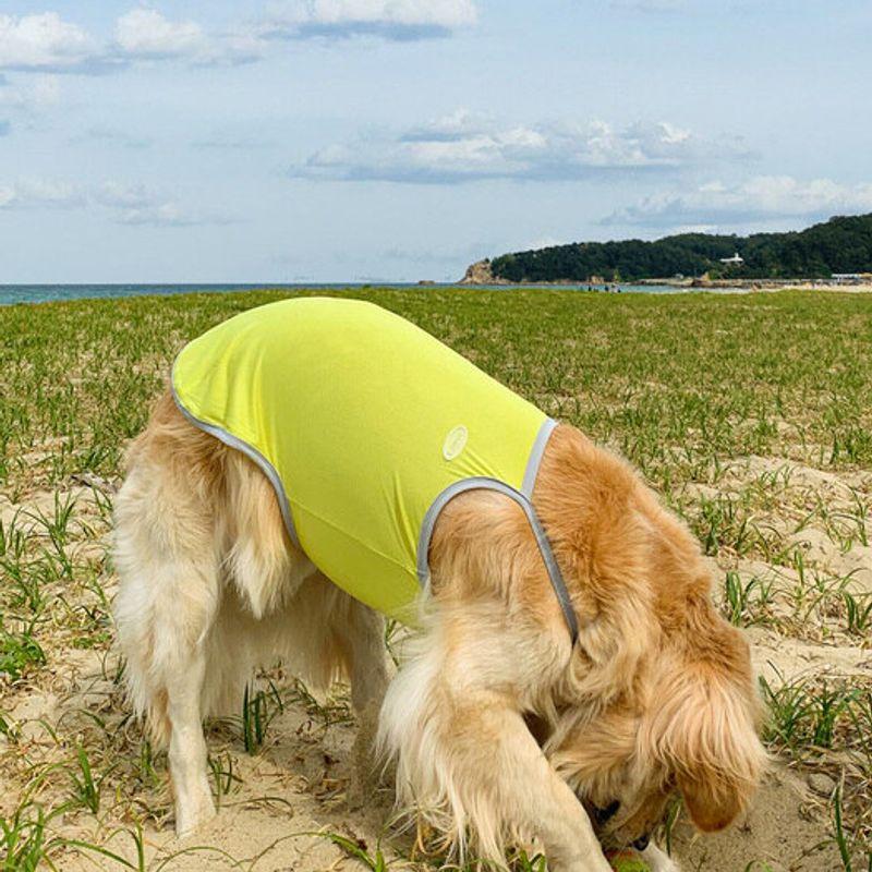 BARKDOG Functional Cool Bug Guard 2 Types M-6XL 3 Colors