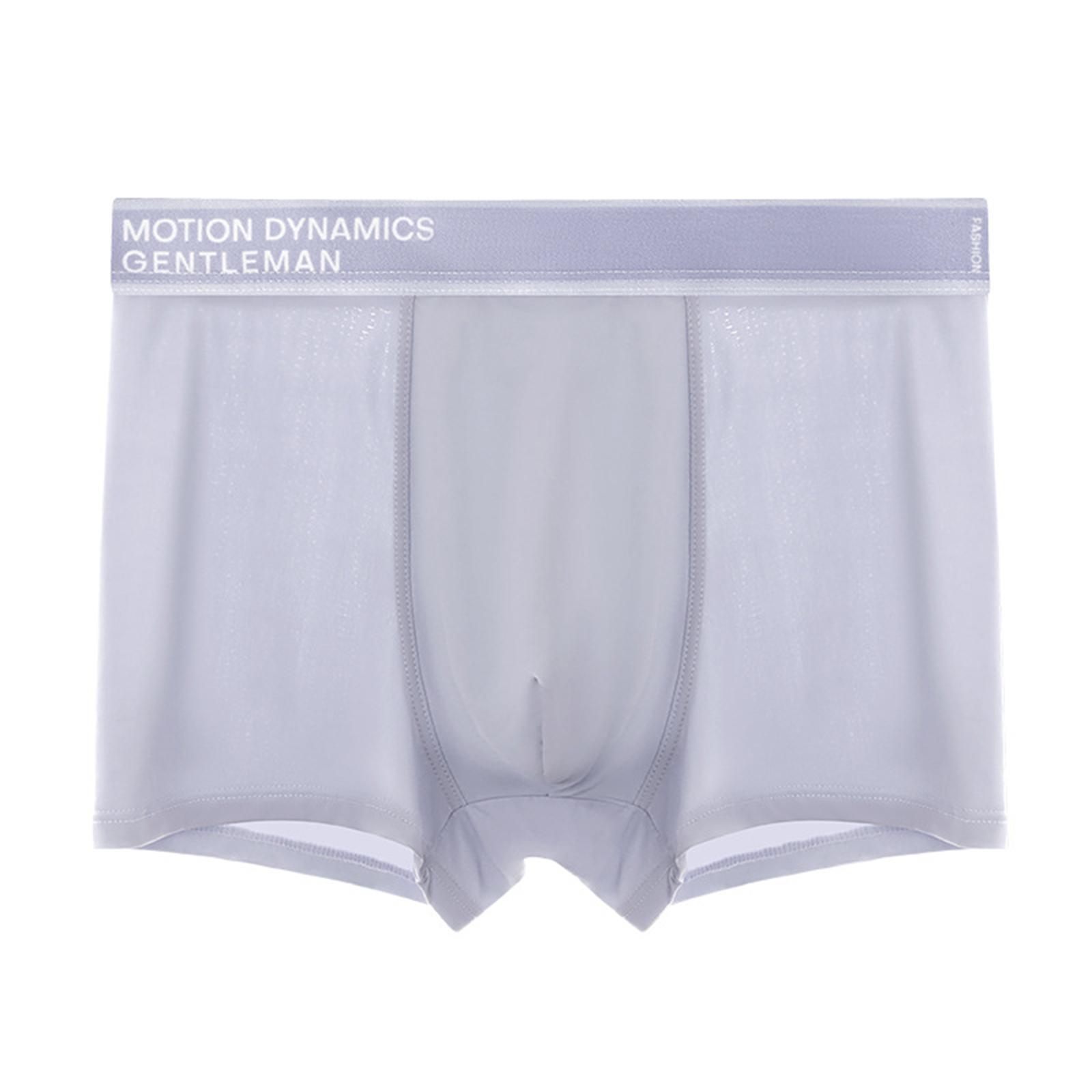 

Men’s Briefs Breathable Mesh Underwear Soft Lightweight Trunks Stretch Waistband Motion Dynamics Gentleman Design L