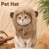 Katten – Kleding voor katten