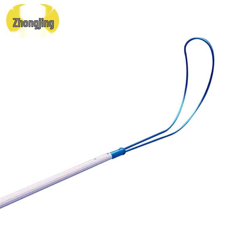 Swimming Pool Telescopic Rescue Pole with Hook