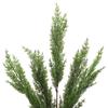 Simulation of Cypress Branches Leaves Simulation Plants for Home Decoration
