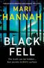 The Black Fell : The Brand New Stone and Oliver Thriller Book
