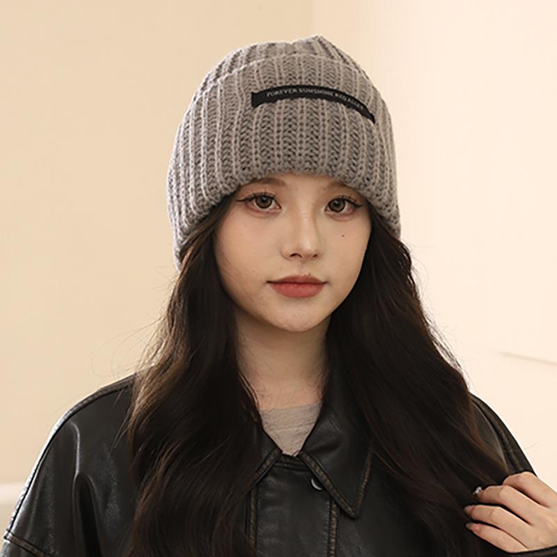 Japanese couple wool pile hat men's and women's autumn and winter versatile Korean version knitted hat warm big head loose hat