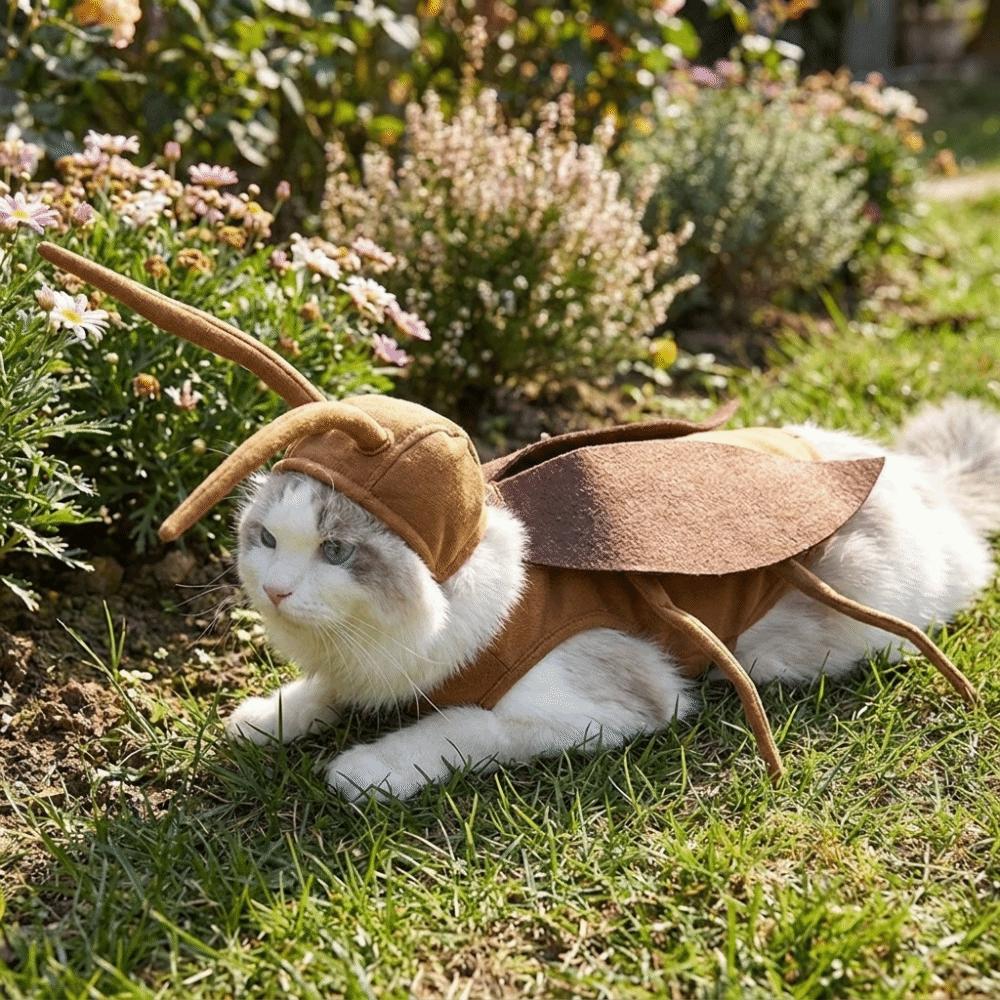 Realistic Pet Transformation Costumes with Wing Costume Pranks Outfit Small Dogs