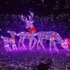 Lighted Christmas Deer Waterproof Festive Decor Christmas Deer Decor for Family Friends Home Patio Garden Parties Holiday