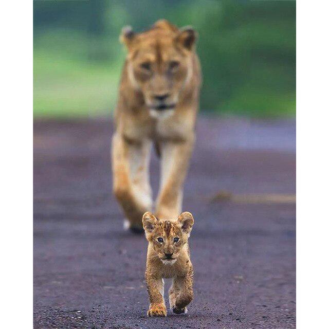 DIY 5D Diamond Painting Baby Feet Love Hand Sweet Room Picture Embroidery Cross Stitch