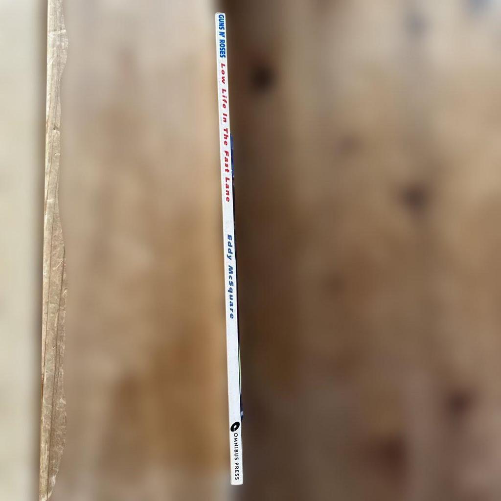 [USED] GUNS N' ROSES / Low Life In The ~ Photo Book