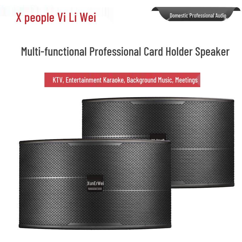 Xun Er Wei Professional Integrated Conference System (CN Version)