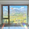 44 Pcs Window Clings Circles Stars Clouds Anti Collision Window Stickers Sun Catcher Stickers for Bird Strikes