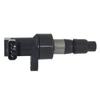 Ignition Coil 6R83-12A366-BA for Land Rover
