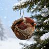 Ornements Gland Animaux de la Forêt Acrylique Pomme de Pin Animal Décoration d'Arbre de Noël Rustique sur le Thème de la Nature Décoration d'Intérieur pour les Amoureux des Animaux