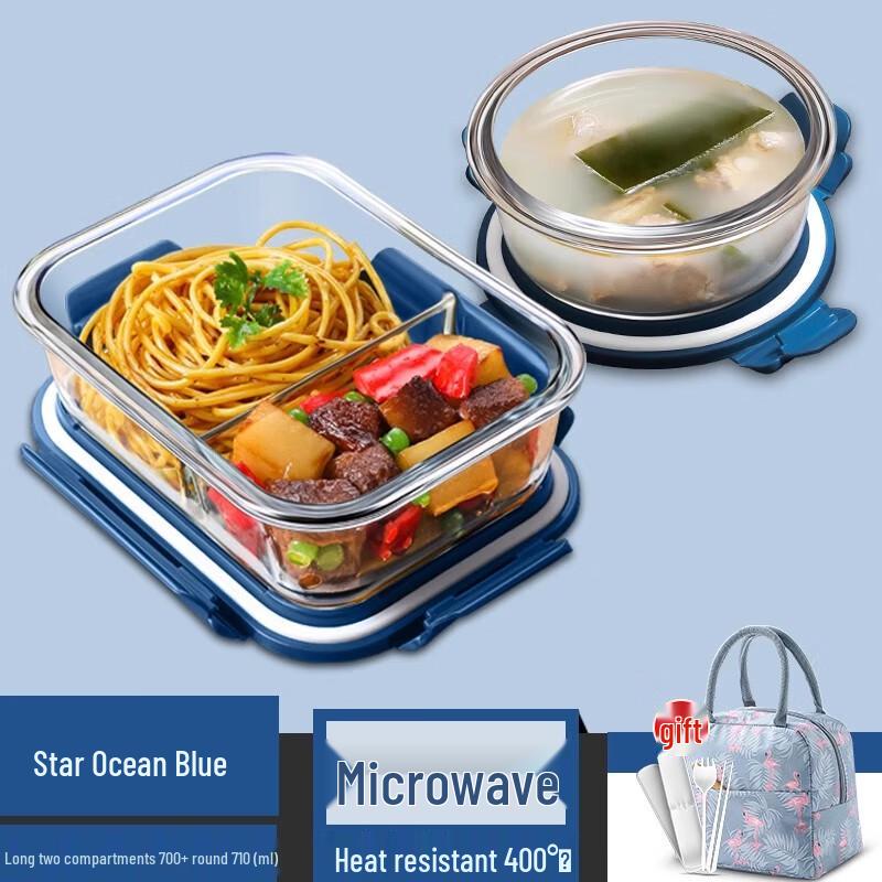 AVADEN Disposable Microwaveable Plastic Lunch Box Set