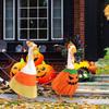 Cloak Halloween Porch Goose Costume Witch Hat Pumpkin Lawn Goose Outfit 23inch Creative Garden Goose Costume Porch Goose Clothes