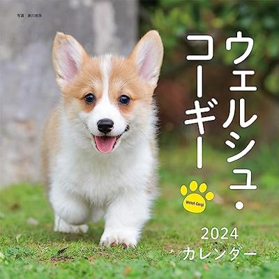 2024 Calendar Welsh Corgi (Seibundo Shinkosha Calendar)