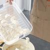 Household Dumpling Box Multi Layer Large Size Quick  Dumpling Storage Box With Cover Kitchen Box Refrigerator Fresh Preservation Box