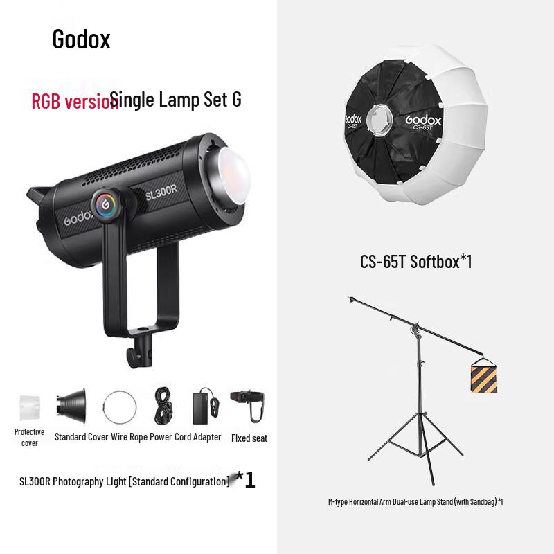 Godox SL300R Bi-Color LED Video Light Kit