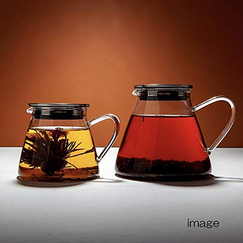 ForLife Glass Teapot, Heat-Resistant, 532ml Capacity, Holds 3 Cups, Includes Tea Strainer Lid, Easy One-Hand Pour, Microwave and Dishwasher Safe, Not
