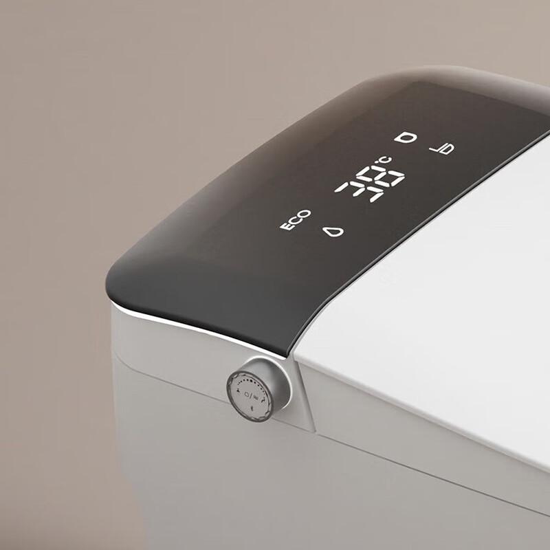 Shengbei Wall-Mounted Smart Toilet