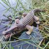 Large Soft Rubber-Filled Cotton Crocodile Toy - Simulation Animal Model