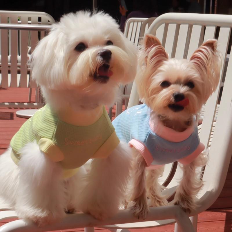 Warm Fleece Pet Vest Small Dogs Winter Coat Maltipoo Teddy Bichon Pomeranian S To XL Sizes