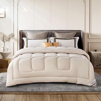 Fuanna Yuerou Brushed Winter Thick Quilt