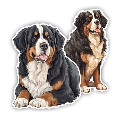 Acessórios de exterior – Adesivos para carros