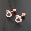 Set 10 Stainless Steel Bar Cartilage Piercing Studs Star Heart Flower Moon Rook Earlobe Screw Statement Earrings Tragus Conch