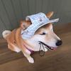 Cartoon Adjustable Dog Sun Hat Plaid Print UV Protection Dog Denim Hat Ear Holes Pet Sunshade Hat Sport